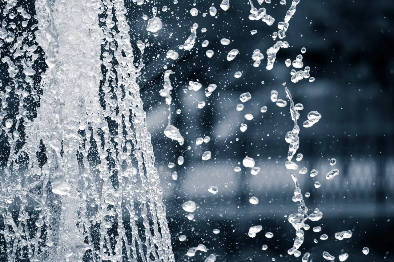 آب باران یکی از بهترین گزینه ها برای آبیاری خزه هاست