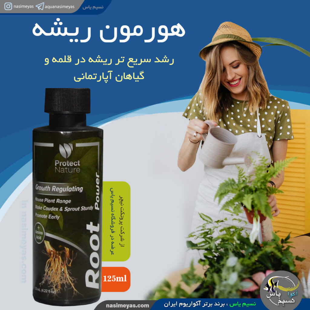 هورمون ریشه زایی گیاه آپارتمانی پروتکت نیچر
