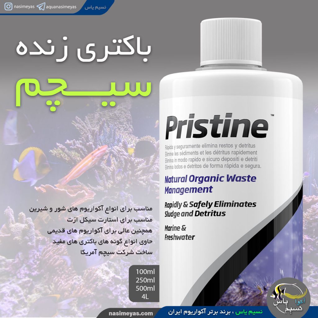 محلول باکتری پریستین سیچم