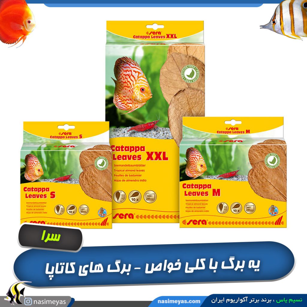 برگ کاتاپا سرا