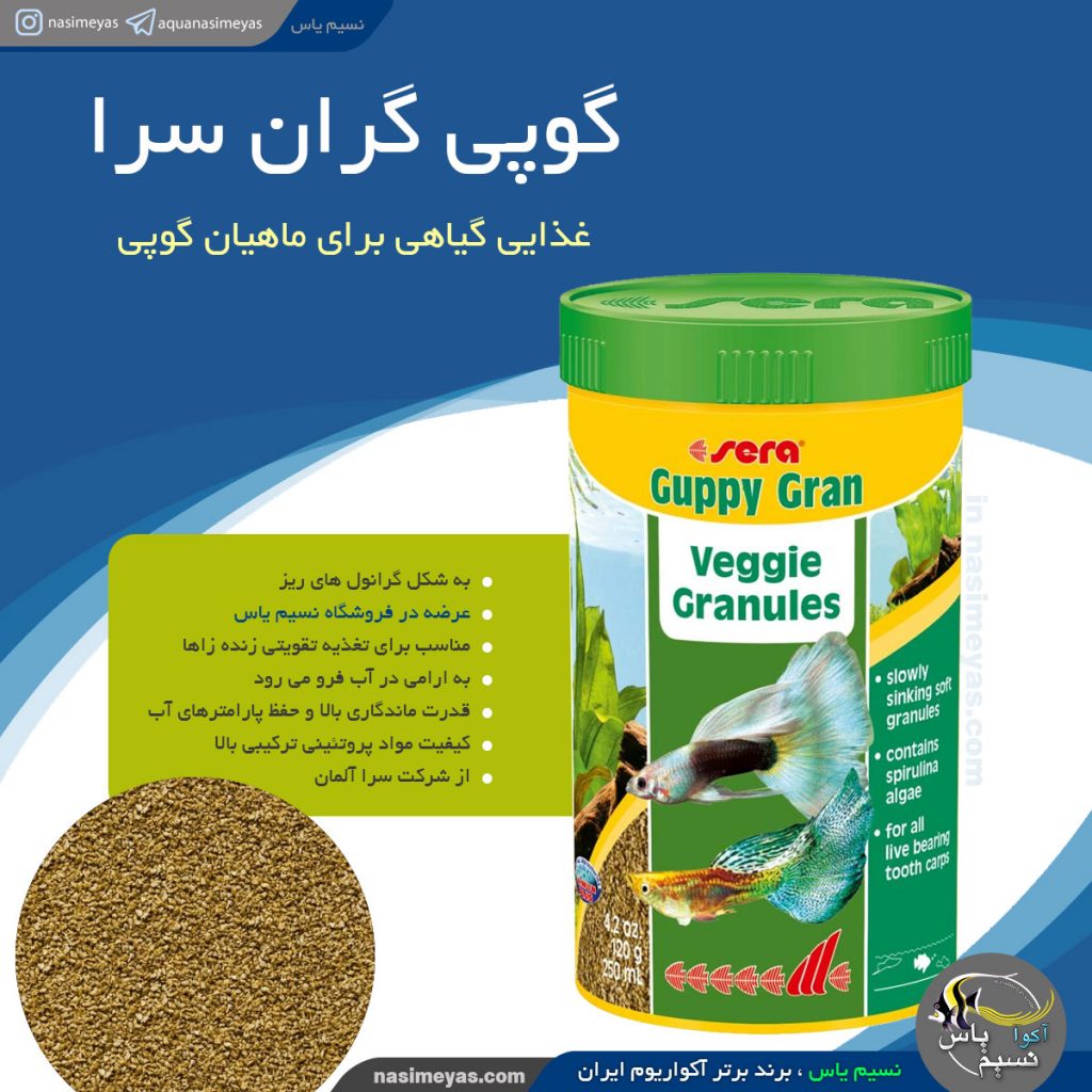 غذای گوپی گران ویجی سرا