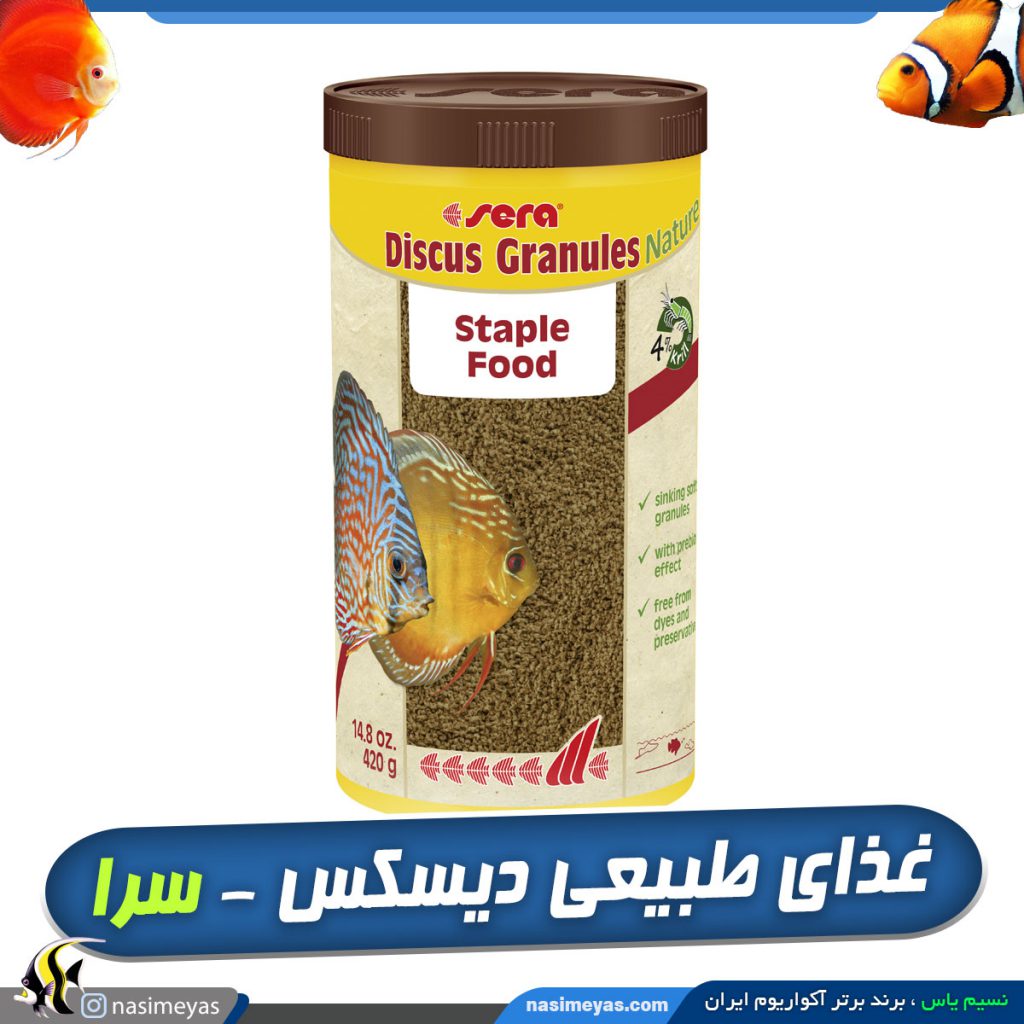 غذای روزانه و طبیعی ماهی دیسکس نیچر سرا