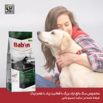 غذای خشک سگ بالغ نژاد بزرگ با فعالیت زیاد با طعم اردک بابین