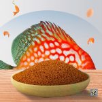 غذای دیسکس حاوی بتا کاروتن بیوزیم