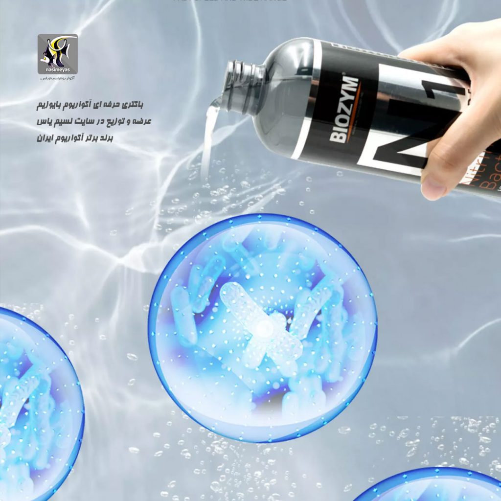 باکتری N1 آکواریوم بایوزیم