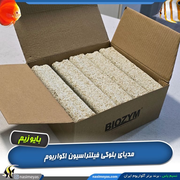 مدیای بیولوژیک و باکتری‌ ساز بلوکی بایوزیم