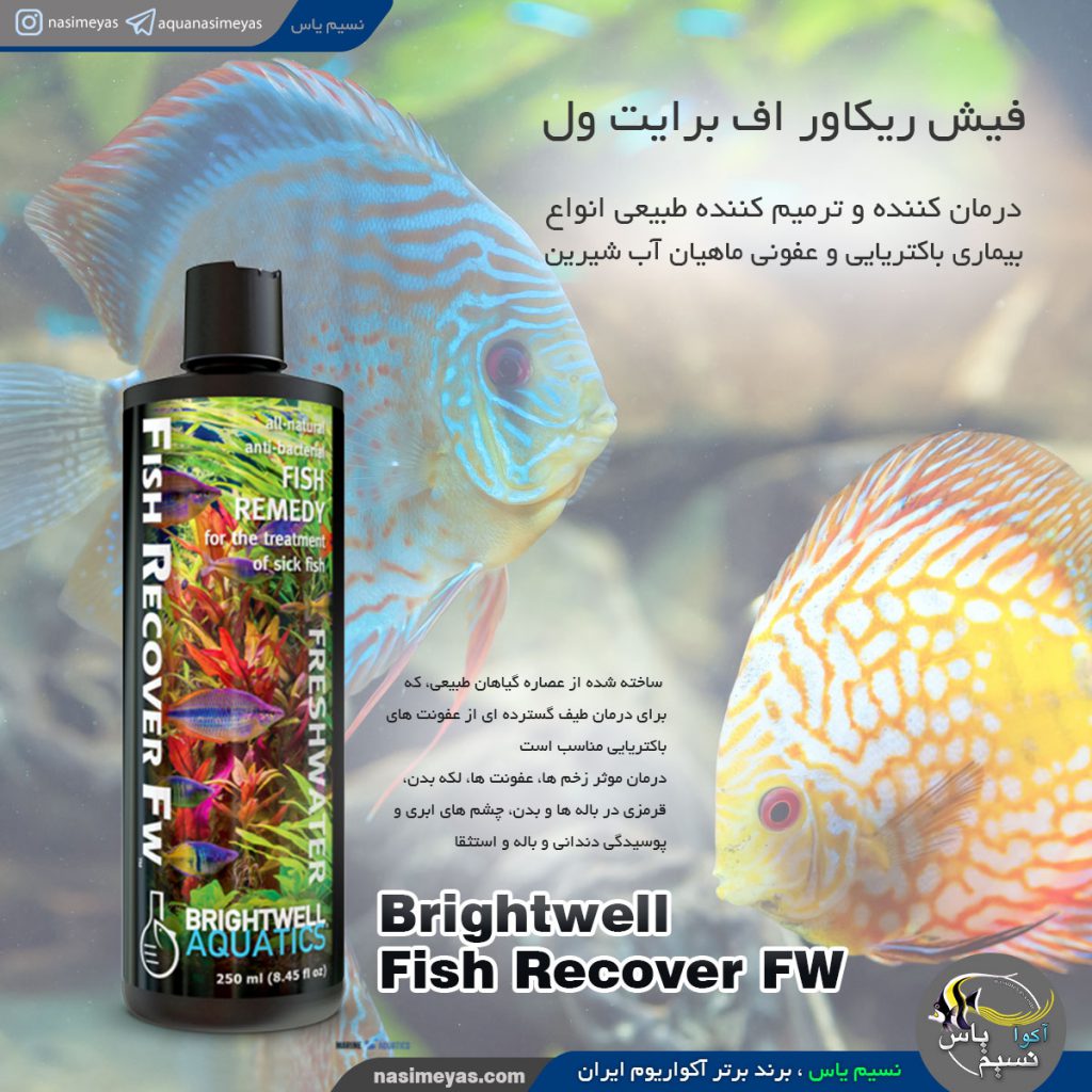 فیش ریکاور اف آب ماهیان آب شیرین برایت ول