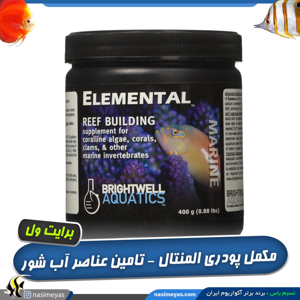 پودر المنتال برایت ول