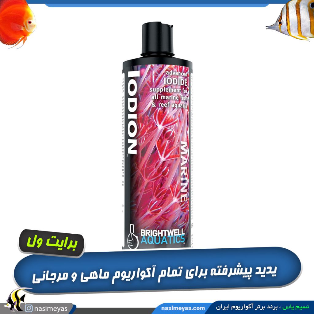 محلول ید آب شور برایت ول