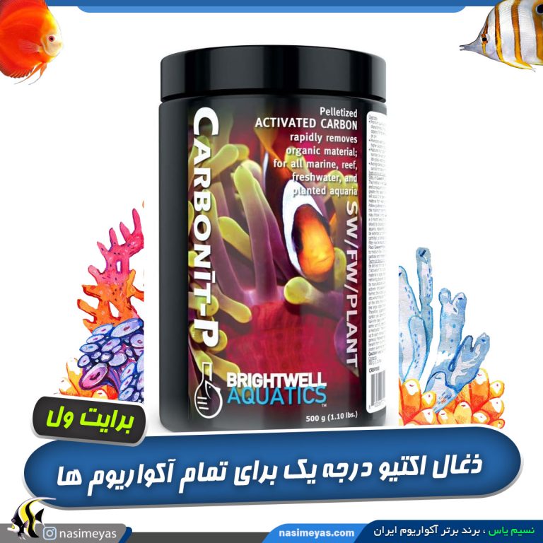 ذغال اکتیو کربونیت P برایت ول