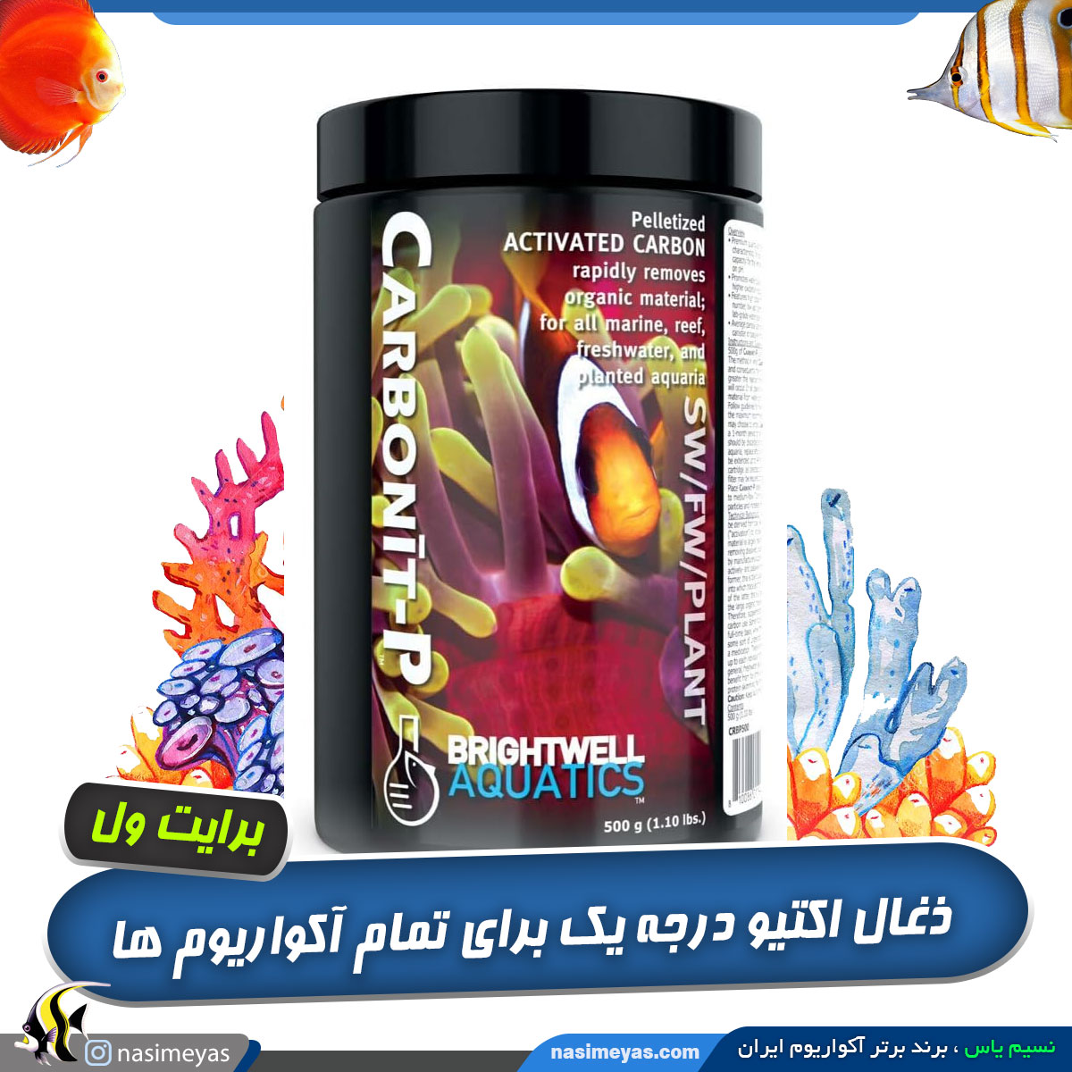 ذغال اکتیو کربونیت P برایت ول