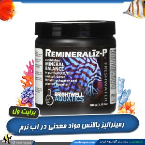 رمینرالیز برایت ول