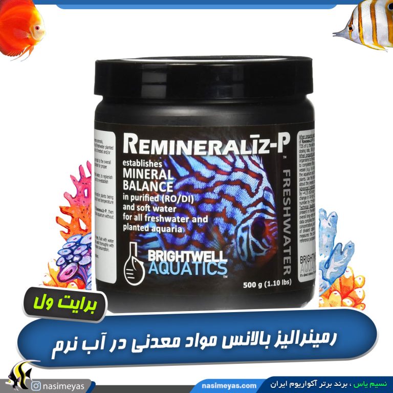 رمینرالیز برایت ول
