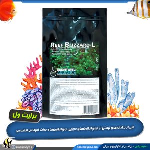 پلانکتون ریف بلیزارد L برایت ول