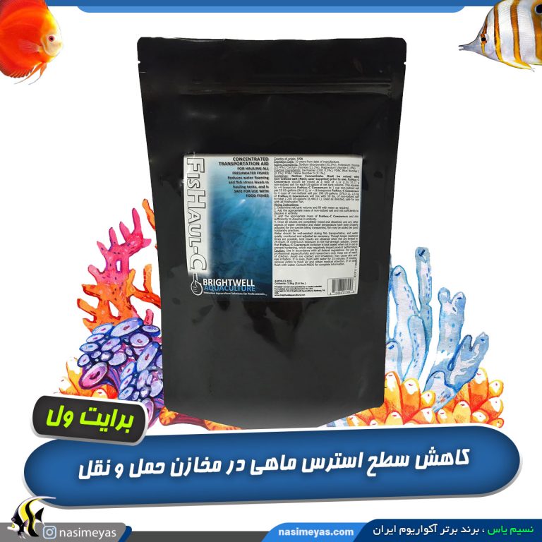 فیشال ضد استرس ماهی برند برایت ول