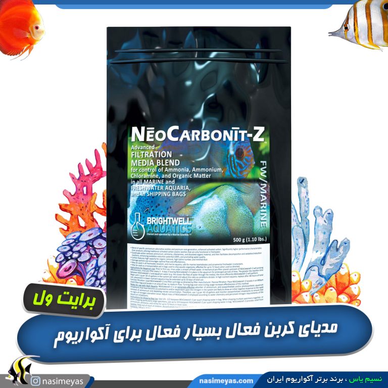 نئو کربونیت Z بسته برایت ول