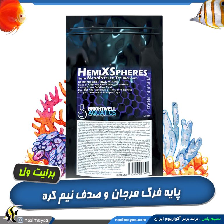 پایه فرگ مرجان طرح نیم کره برایت ول