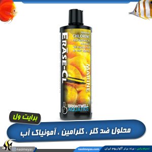 محلول حذف کننده کلر و آمونیاک اریز CL برایت ول