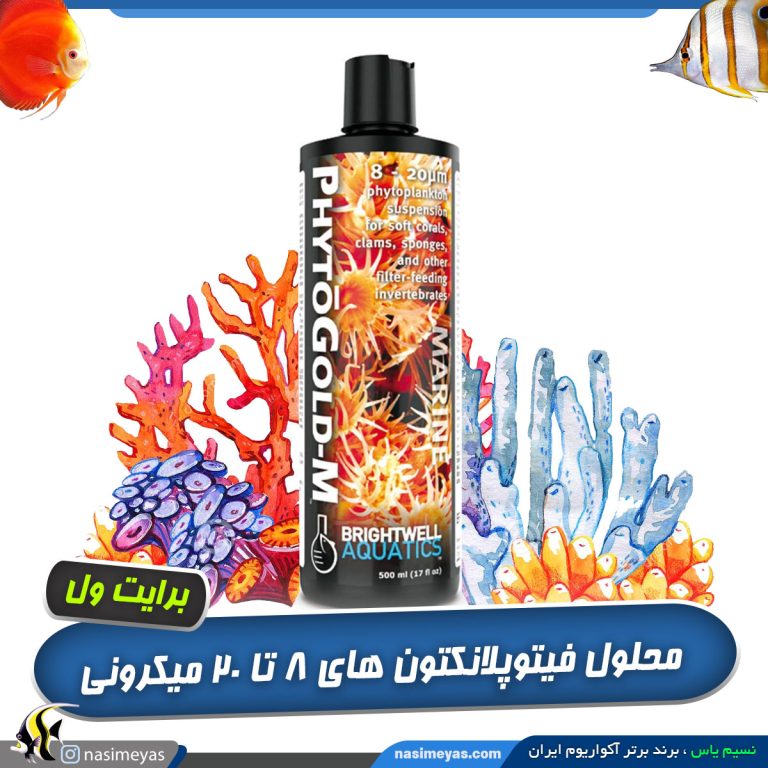 محلول فیتو گلد M برایت ول