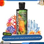 مکمل ماهی رمبو