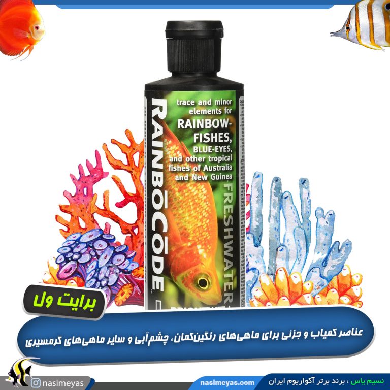 مکمل ماهی رمبو