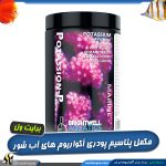 مکمل پتاسیم پودری برایت ول