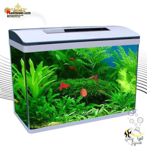 آکواریوم کامل با سنسور دما CR-M820 چانگ رویی