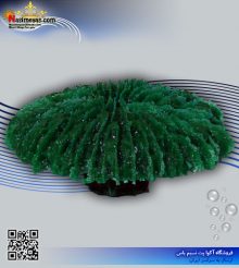 دکور مرجان مصنوعی کد 140 کورال کالکشن