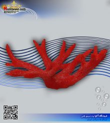 دکور مرجان مصنوعی کد 131 کورال کالکشن