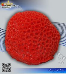 دکور مرجان مصنوعی کد 118 کورال کالکشن
