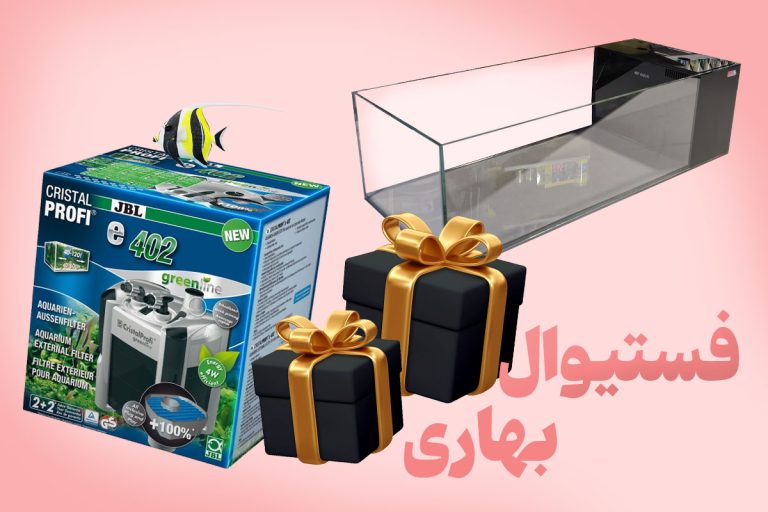 فستیوال بهار 1404