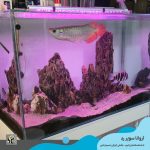 فروش آروانا سوپر رد با چیپ و شناسنامه سایز بزرگ