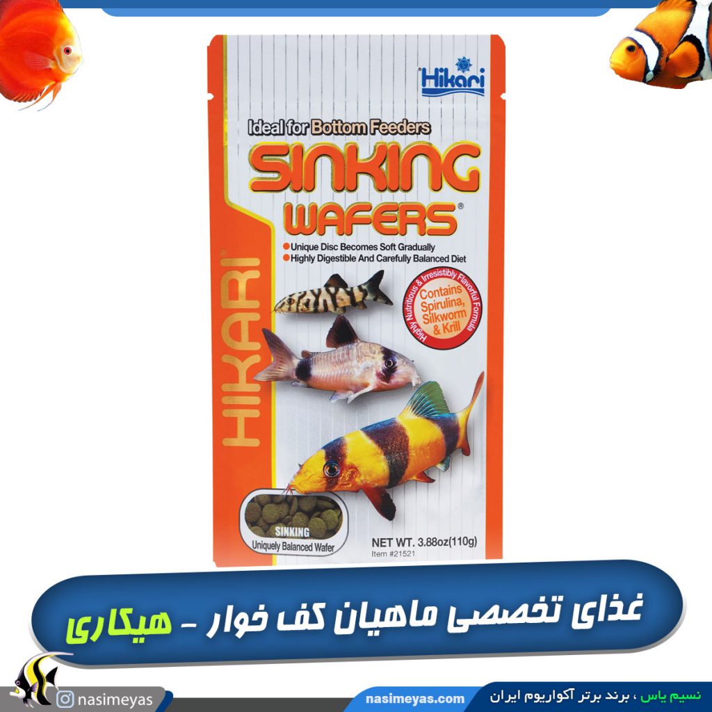 غذای ماهیان کف خوار