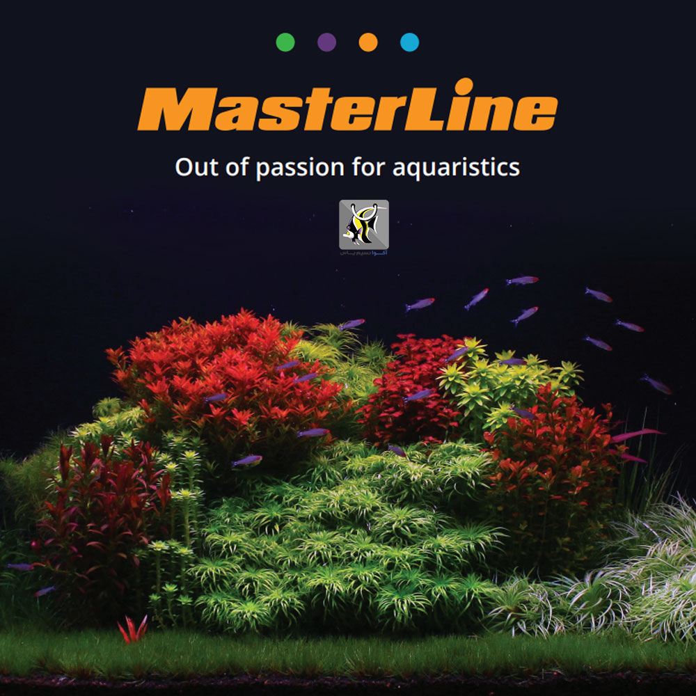 آل این وان رد مستر لاین