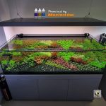 کود آل این وان بوست مستر لاین