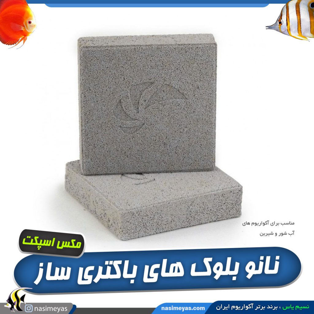 بلوک باکتری ساز
