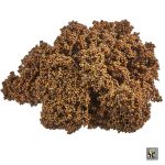 ضد فسفات نانو تک فسفر مکس اسپکت