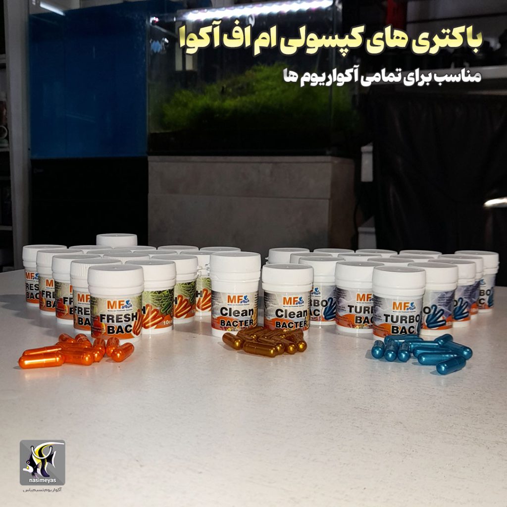 انواع باکتری تخصصی آکواریومی برند ام اف آکوا