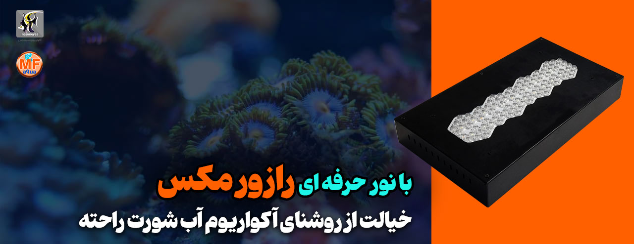 ال ای دی رازور مکس ام اف آکوا