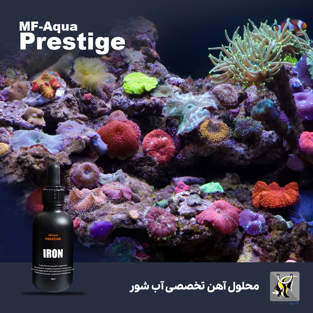 مکمل آهن آکواریوم آب شور