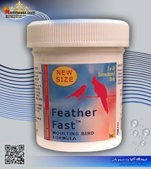 پودر ویتامینه و تقویتی پر و ظاهر پرندگان FEATHER FAST مورنینگ برد