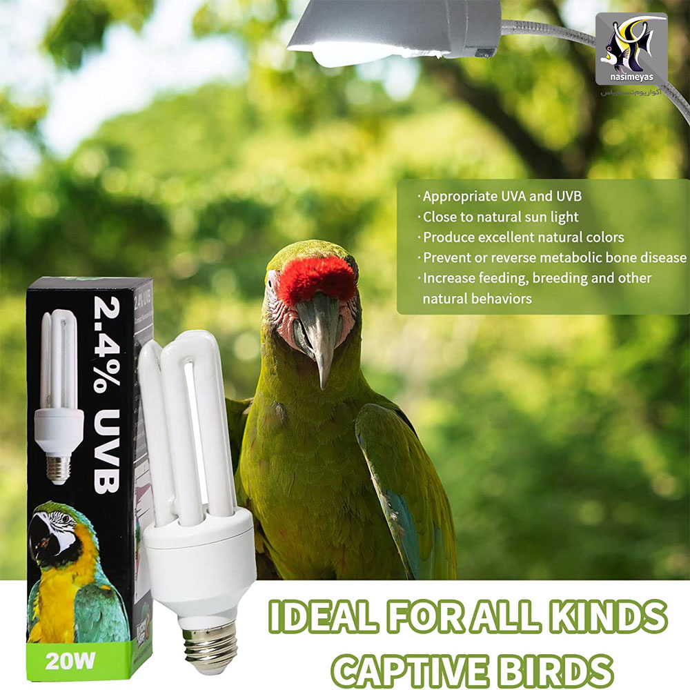 لامپ یو وی دار UVB2.4 پرندگان 20 وات لاکی هرپ