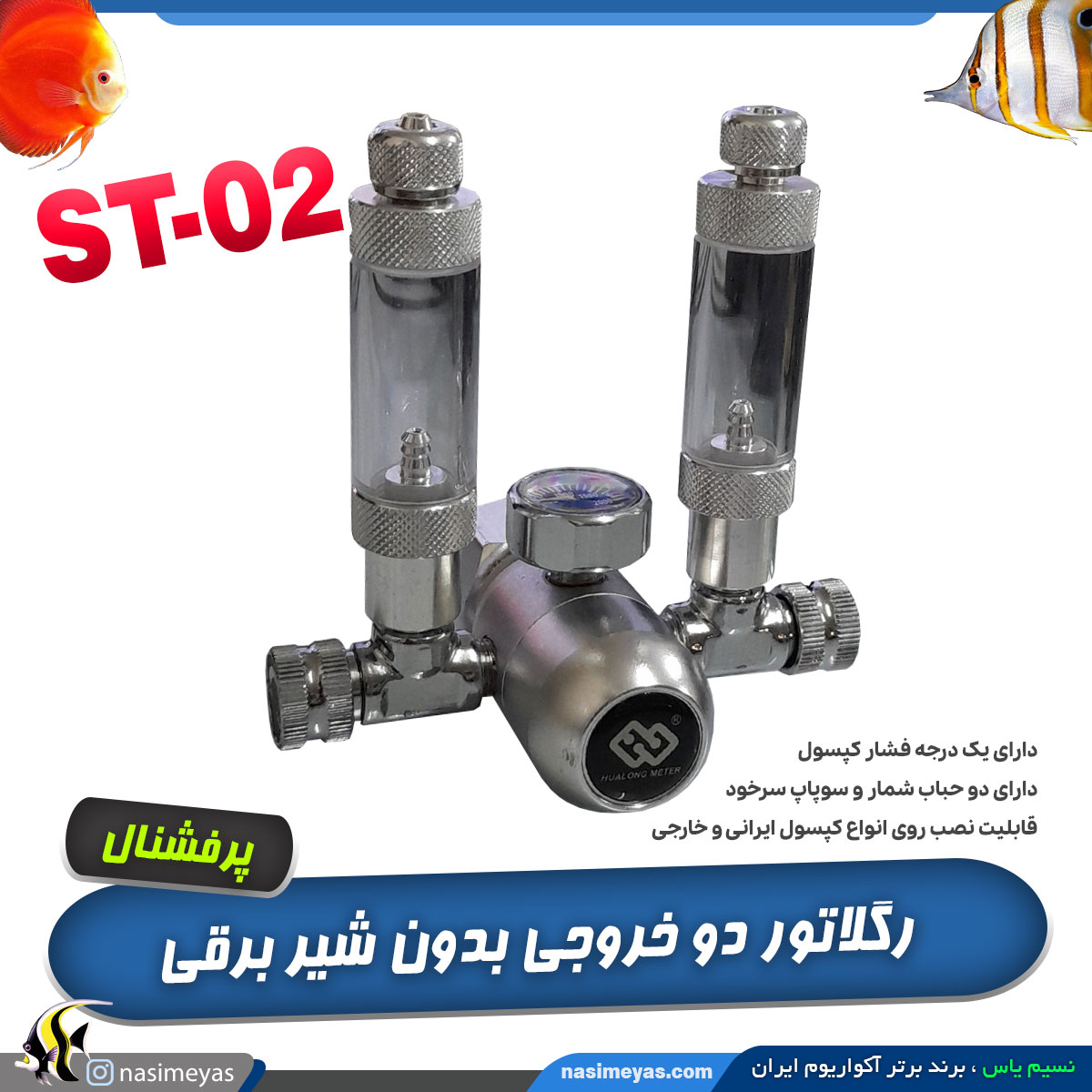 رگلاتور co2 دو خروجی پرفشنال