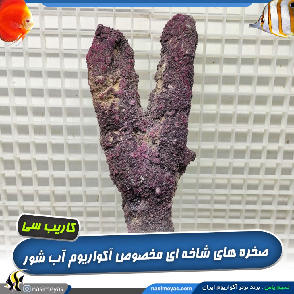صخره شاخه ای آکواریوم آب شور