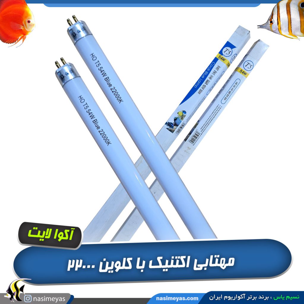 مهتابی آبی اکتنیک