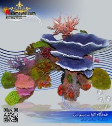 دکوری مرجان مصنوعی طرح مونتی پورا بزرگ