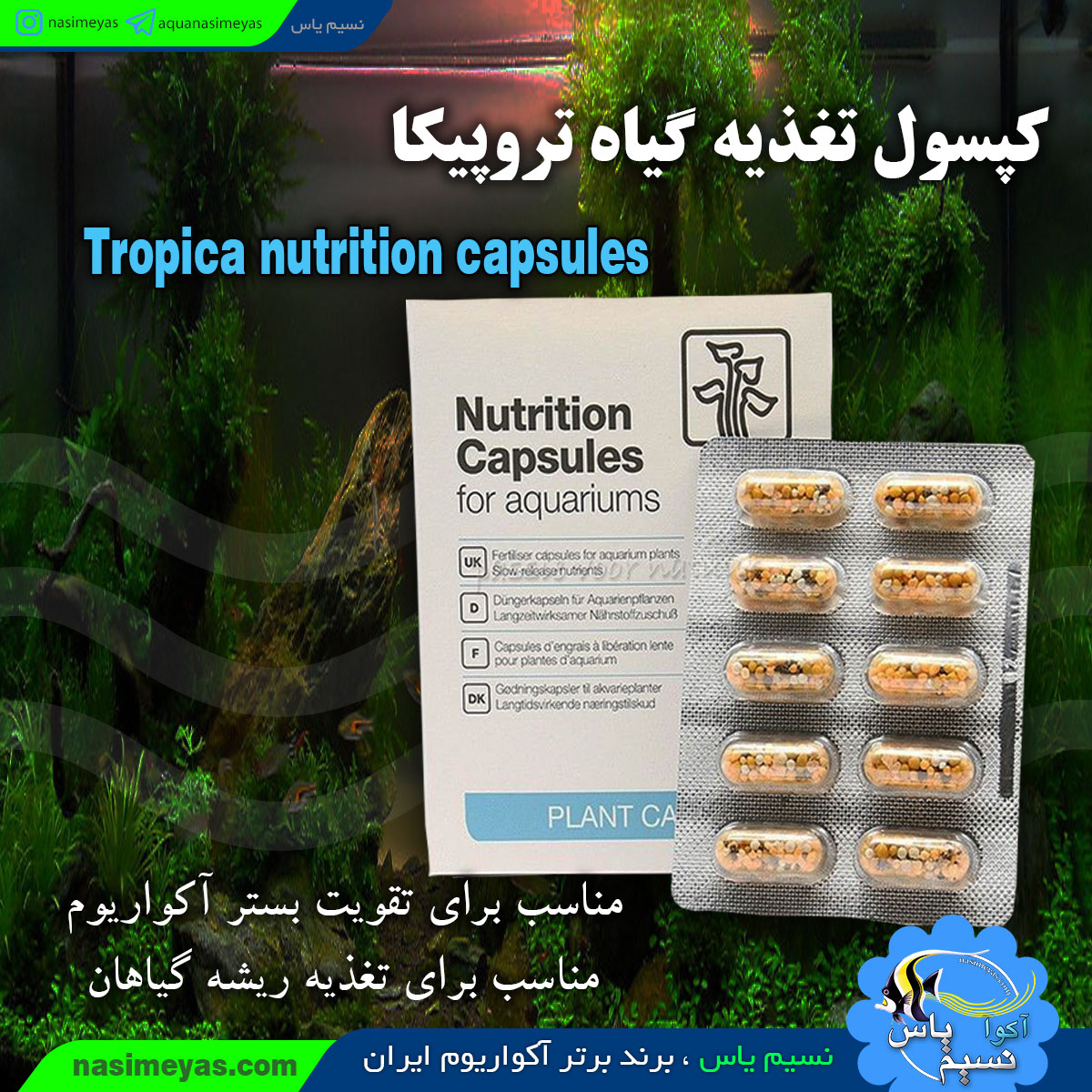 Tropica nutrition capsules