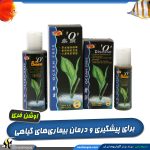 داروی مجیک و همه کاره آکواریوم دزیز O اوشن فری