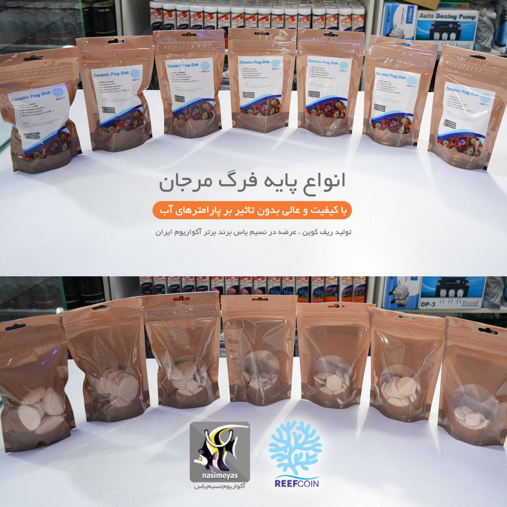 پایه فرگ سرامیکی متخلخل دایره ای ریف کوین