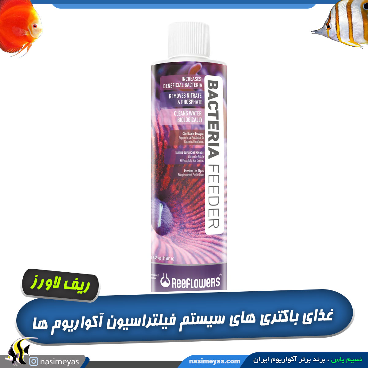 محلول باکتری فیدر ریف لاورز